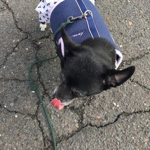 Meet your Posher, Marta